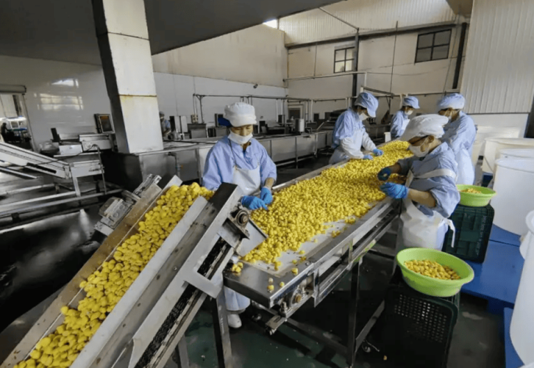 Automatic Potato Chip Production Line