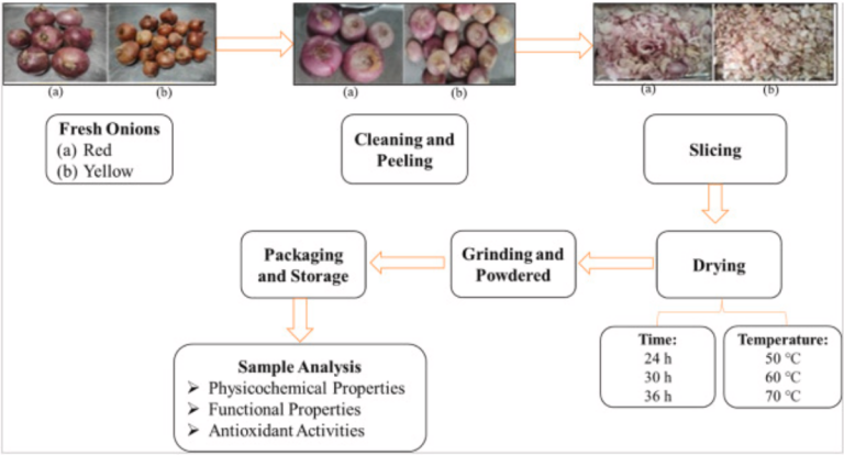 Automatic Yellow Onion Powder Production Line