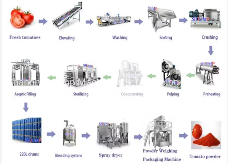 Automatic Tomato Powder Production Line